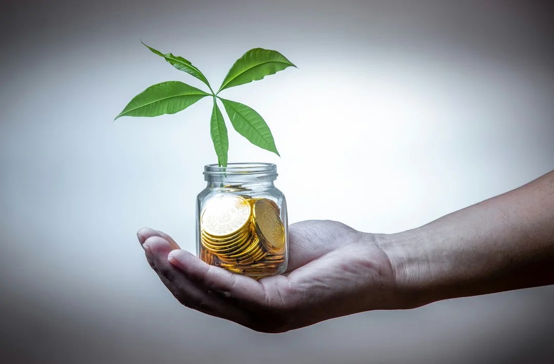 about-01 Illustration des dossiers de chainvera sur les états financiers et les ratios.